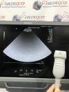 SIEMENS/ACUSON 4V1 Ultrasound Transducer