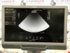 SIEMENS/ACUSON 4V1 Ultrasound Transducer