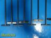 V. MUELLER 10X  BD SU2975 Weisenbach Instruments Sterile Forceps Holders