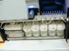 DYNEX Agility Elisa
