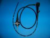 OLYMPUS GIF-Q160 Gastroscope