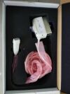 GE M5Sc-D  M5Sc-D Ultrasound Transducer Ultrasound Accessories