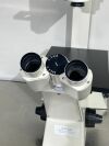 CARL ZEISS B-451201 Invertoskop Microscope