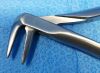 P. BANDITT 605 D Forceps