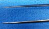 SCANLAN 3003-810 Forceps
