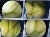 RICHARD WOLF PanoView Plus 8880.402 Rigid Telescope 4mm x 25Ã‚Â°