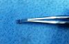 IMPEX XF465 Forceps