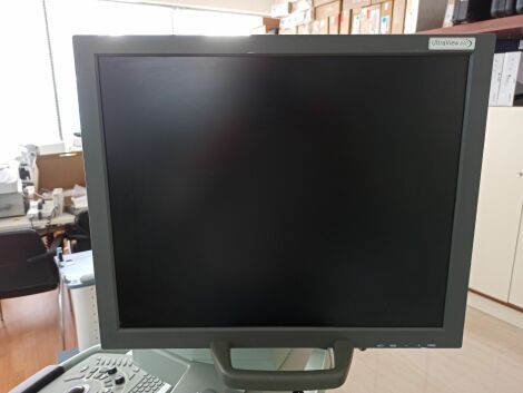 BK MEDICAL ZV0074 LCD Monitor 19 Ultrasound General