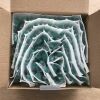 ANHUI TIANKANG MEDICAL TSKN-010 TKMD Safety Needle, 21G x 1/2in (100/Box)