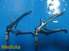 2X W.C Moore Surgical Instruments WA  Cervical Biopsy Punch Forcep