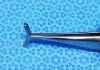 STORZ E-1600 Forceps