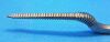 JOHNSON & JOHNSON 85-6024 Rasp / Broach