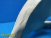 GE HEALTHCARE 2001 GE 2264743-9 USAI MARK 5000 Phased Array Shoulder Coil, 0.7T