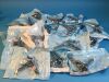 Assorted vaginal speculums pederson graves:  Packaged Stainless steel assorted speculums, Pederson and Graves
- 3 small
- 8 medi