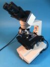 PHYSICIAN General Purpose Microscope