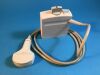 SIEMENS 3.5C40H Curved Array Probe