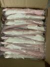 ARJO HUNTLEIGH Huntleigh Flowtron Large Foot Garment (DVT)FG200 10/BX