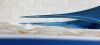 STORZ 2-504 Forceps