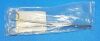 AESCULAP MG468R Forceps