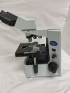 OLYMPUS CX31 Microscope