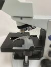 OLYMPUS CX31 Microscope