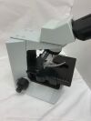 OLYMPUS CX31 Microscope