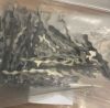 DHS SWISS DHS straight plate straight plate