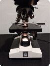 LW SCIENTIFIC Binocular Lab Microscope