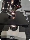 LW SCIENTIFIC Binocular Lab Microscope