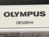 OLYMPUS OEV261H Display Monitor