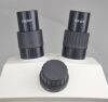 LEICA 7 GZ7 Stereo Zoom 7X Microscope 10XW.F. w/ Weighted Boom Stand 13312714 - 141731 Microscope