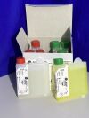 BECKMAN COULTER OLYMPUS OSR6178 Beckman Coulter Olympus AU Series (CREA) Creatinine (3,960 Tests/Kit) Chemistry Analyzer