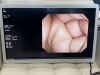 OLYMPUS OEV262H Display Monitor