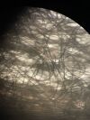 NIKON E400 for Basic Clinical Microscope