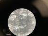 LEICA DM IL LED Inverted Phase Contrast Microscope