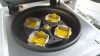 HETTICH Rotixa 120 R Centrifuge