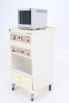 R. WOLF Video-endoscope set RIWOPLAN Endoscope