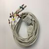 PHILIPS 989803175911 PageWriter TC20 Long 10-Lead Patient Cable IEC REF 989803175911 ECG unit