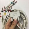 PHILIPS 989803175911 PageWriter TC20 Long 10-Lead Patient Cable IEC REF 989803175911 ECG unit