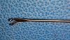 V. MUELLER BE2827 Forceps