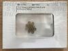 SYNTHES 460.035S TI Sternal Locking Star Plate, 6 holes, Titanium(X)