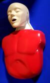 ADULT MEDICAL MANIKIN Naco Life Forms BASIC BUDDY LF3694 CPR Training Aids