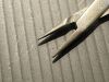 SCANLAN 6006-32 Micro Needle Holder, Diamond Dust Jaws, 7.25