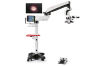 LEICA F40 M844 Microscope