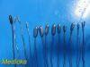 SKLAR 13X  Bakes Assorted Common Bile  Duct Dilators, 11mm-3mm, 7.5