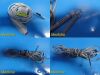 NATUS 2008  Neurology Xltek EMU40EX Base Unit Ref 006550 W/ Event Clicker