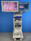KARL STORZ Image 1 Dual Channel with H3 Camera Head Stack System Laparoscope