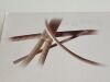 MAQUET Hemagard Knitted (K) HGK0022-40  Exp.2022-08  (D9) HGK0022-40 Hemagard Knitted (K)