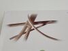 MAQUET Hemagard Knitted (K) HGK0018-40  Exp.2022-08  (D9)  HGK0018-40 Hemagard Knitted (K)