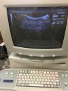 ACUSON 5C2G Abdominal Ultrasound Transducer